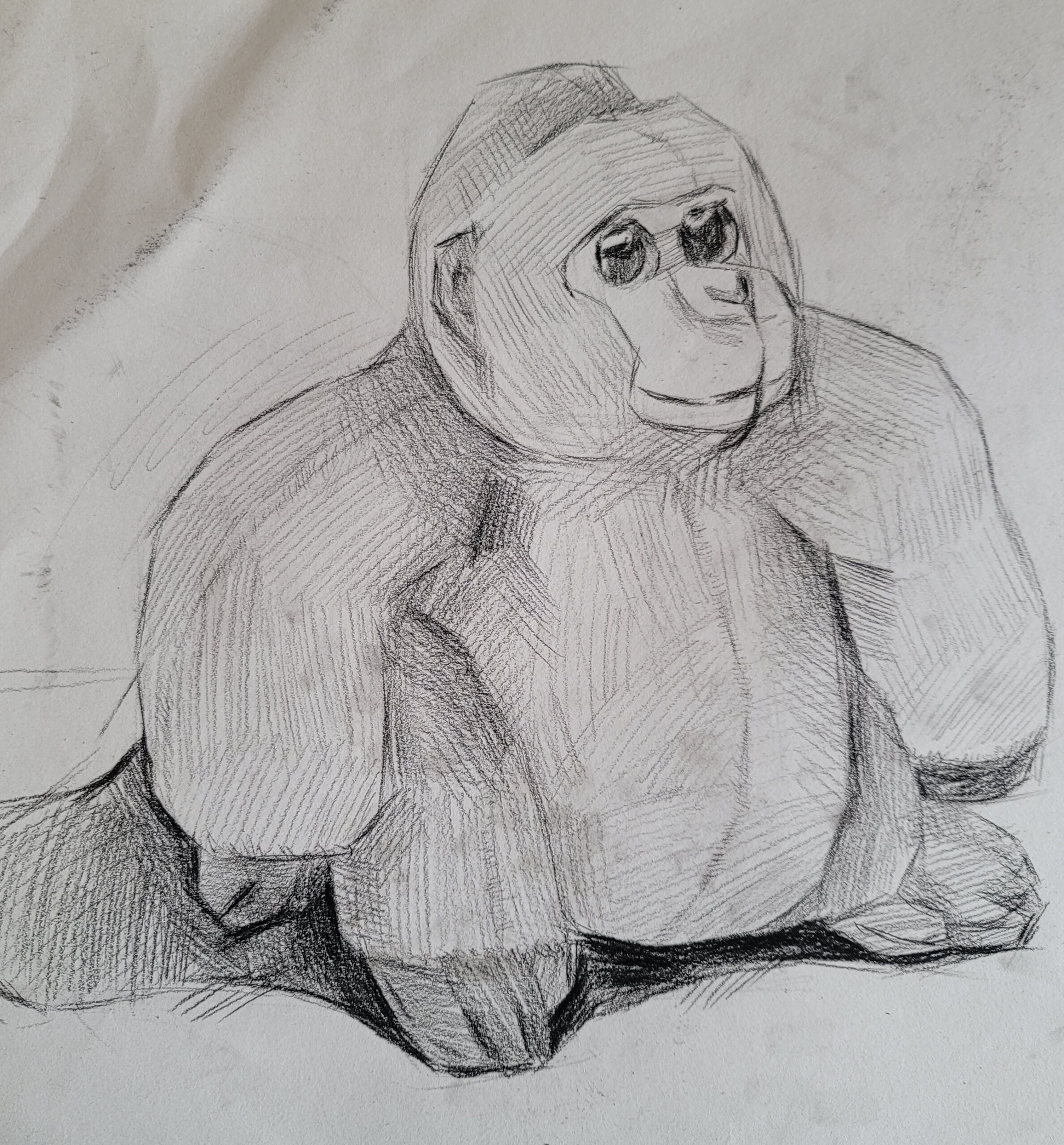 画大猩猩 Draw Gorilla